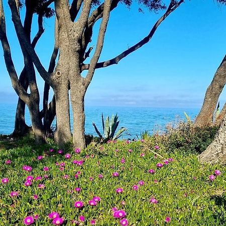 Maison U Nidu A 500M De La Mer Cervione Ngoại thất bức ảnh