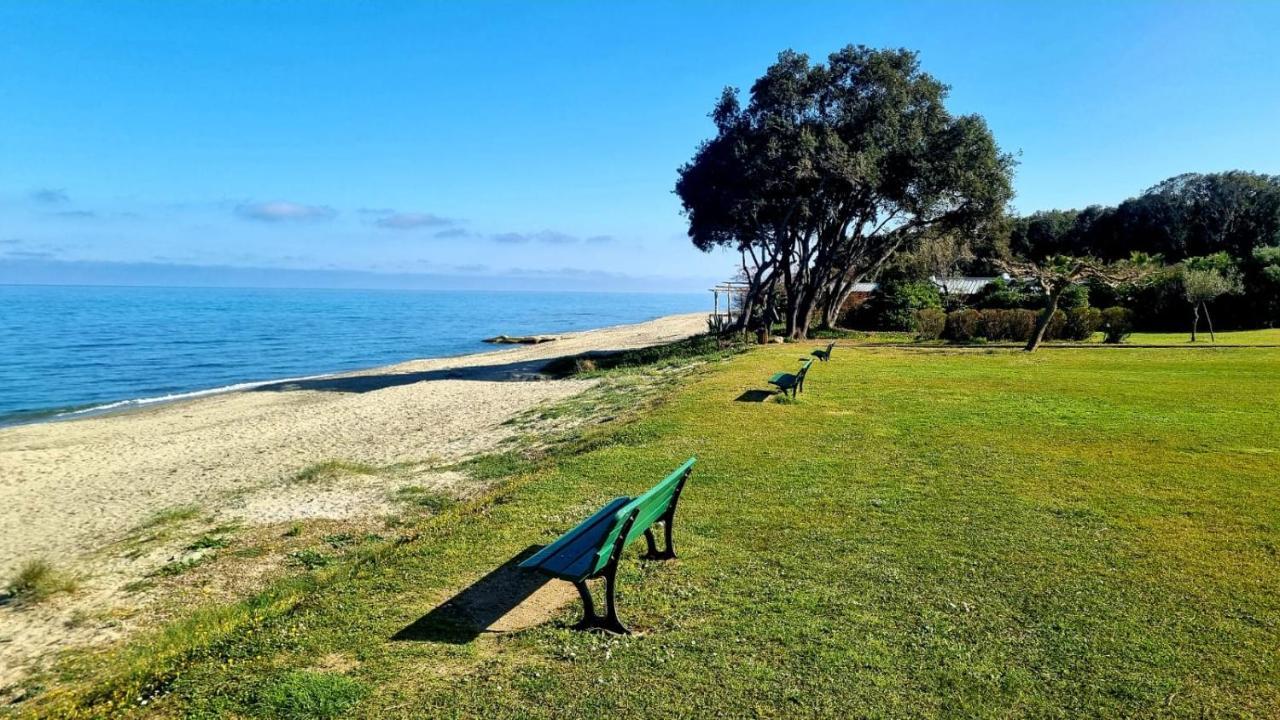 Maison U Nidu A 500M De La Mer Cervione Ngoại thất bức ảnh